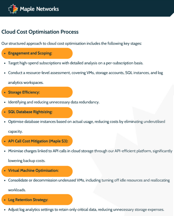 Maple Networks: Cloud Cost Optimisation Service 