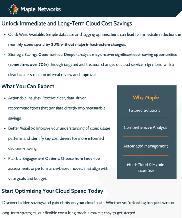 Maple Networks: Cloud Cost Optimisation Service 