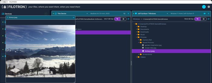 FILOTRON for Enterprise