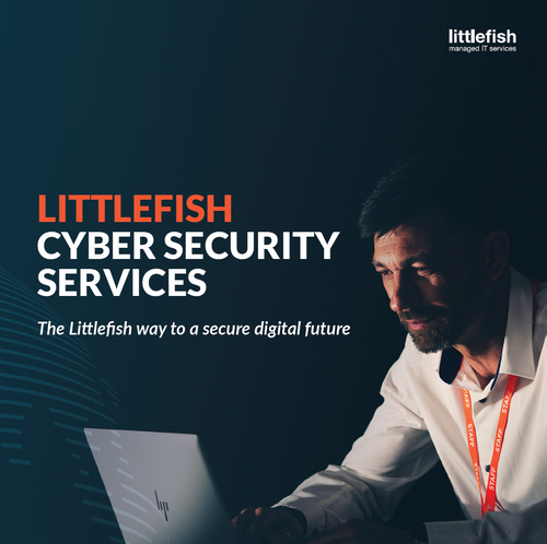 Littlefish Cyber Security brochure