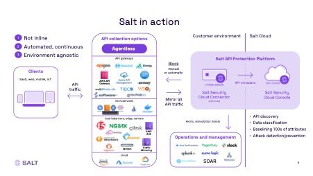 Salt Security API Protection Platform
