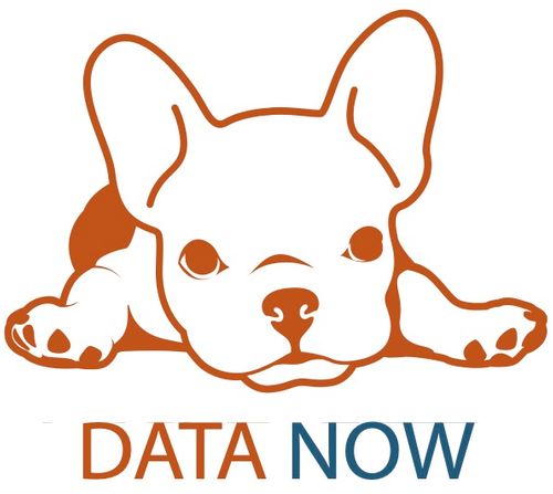 DATA NOW