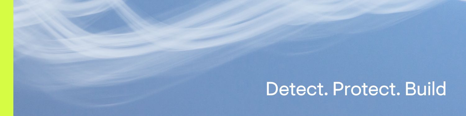 Cover image - Protection Group International