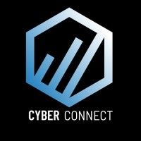 Company name - SECURE Cyber Connect