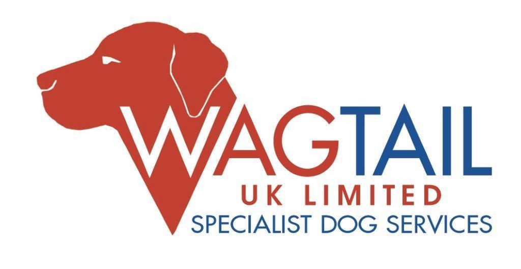 Wagtail UK Ltd