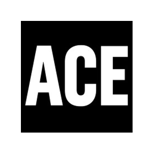 Accelerated Capability Environment (ACE)