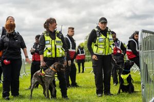 Pyro Detection Dogs