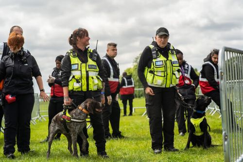 Pyro Detection Dogs