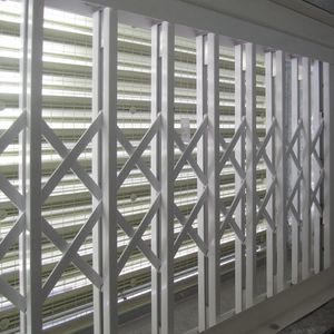 Extendor Security Grilles