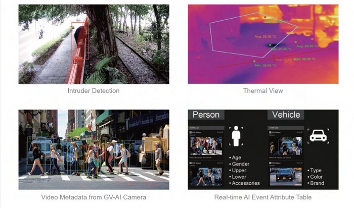 CCTV & Video Surveillance