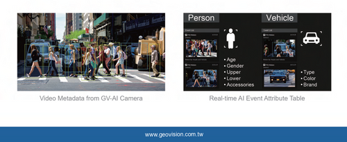 Video Analytics / AI