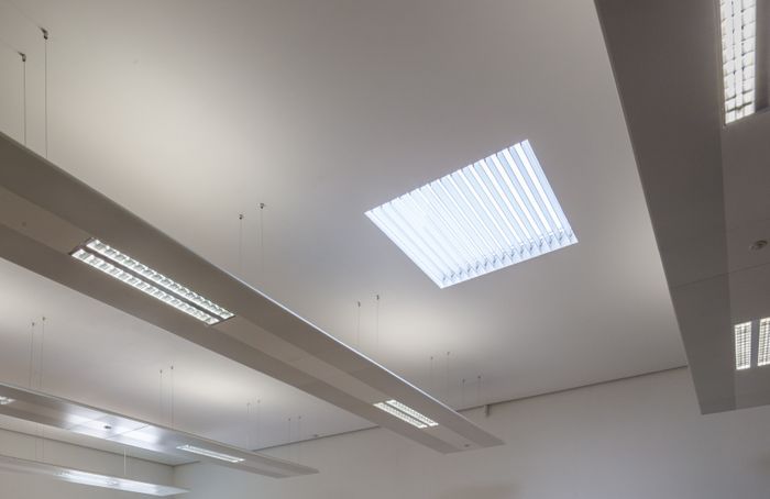 High Security Rooflight 
