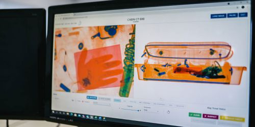 Standardised Image Interpretation Test (SIIT)