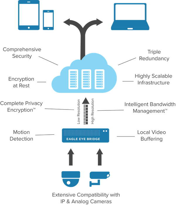 Eagle Eye Cloud VMS
