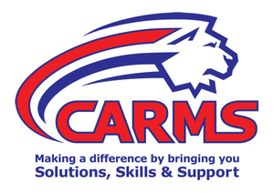 Consultancy - Analysis & Risk Management