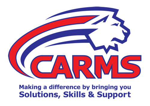 Consultancy - Analysis & Risk Management