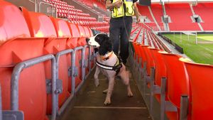Explosive Detection Dogs