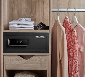 Large Biometric Safe