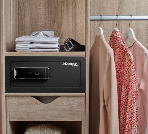 Large Biometric Safe