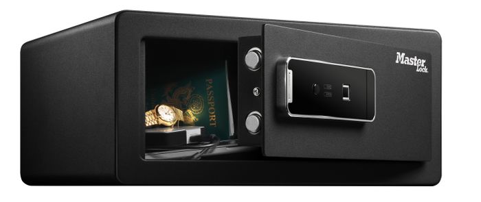 Large Biometric Safe
