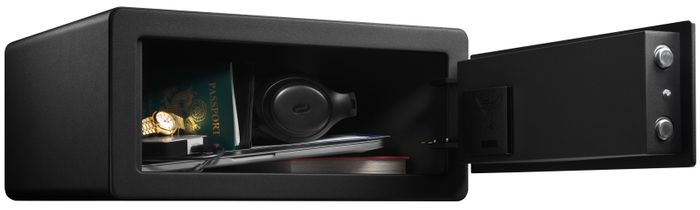 Large Biometric Safe