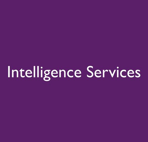 Intelligence Services