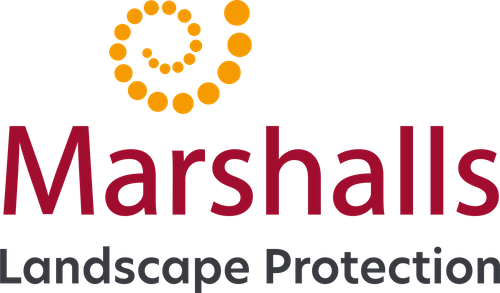 Marshalls