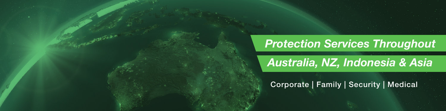 Cover image - Panoptic Solutions