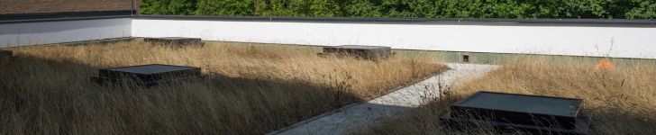 Cover image - The Rooflight Co