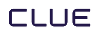 Company name - Clue Software