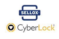 Company name - Cyber Lock