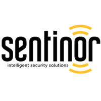 Company name - Sentinor 