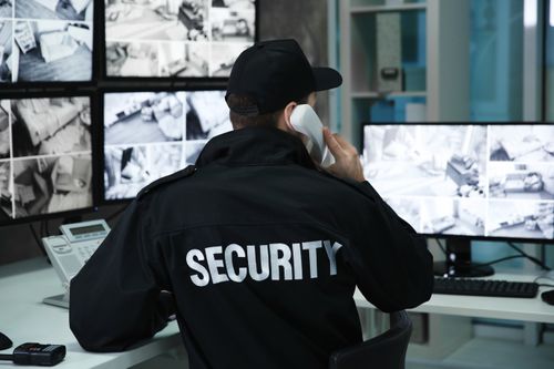 Pimloc partners with Marlowe security cameras to provide security and data privacy across sectors