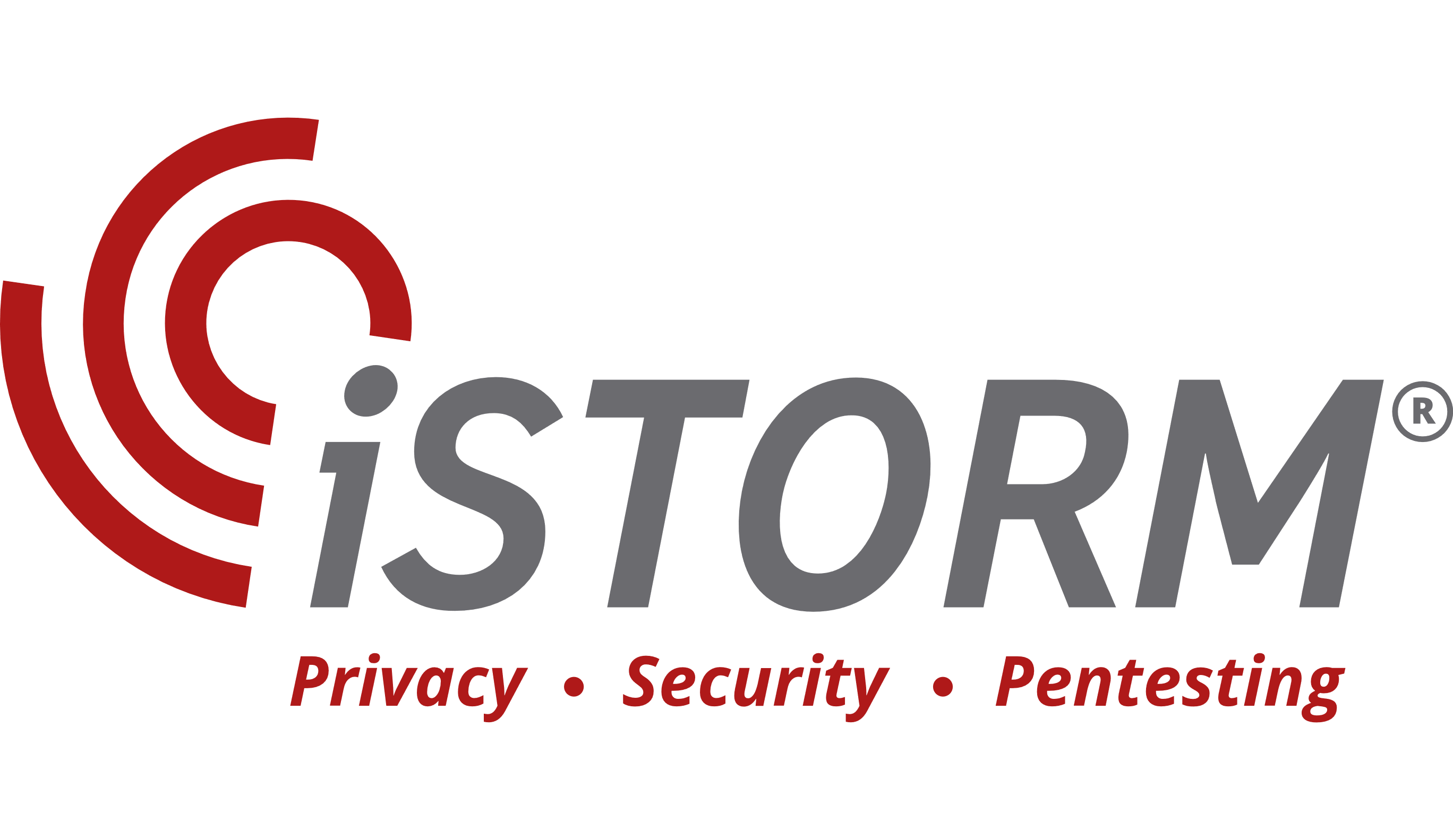 iSTORM®️ Privacy-Security-Pentesting 
