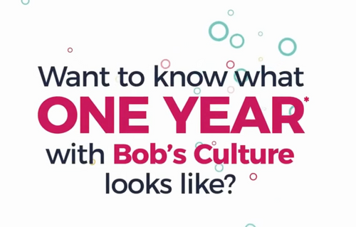 What One Year of Bob's Culture Does to Reduce your Cyber-Risk