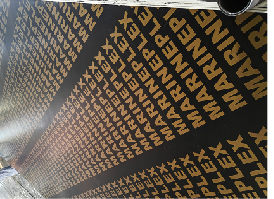 Film faced Plywood