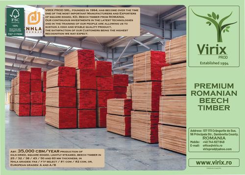 Romanian Premium Quality Beech Timber