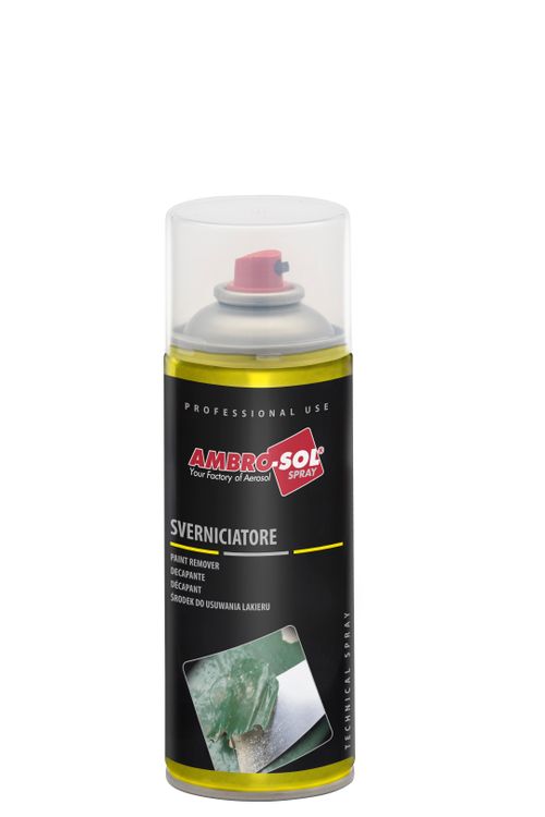 Paint Remover
