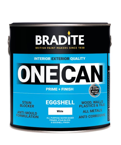 One Can - All Surface Prime and Finish