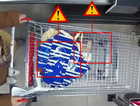 Eliminate In-Cart Theft at Checkouts