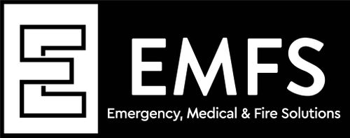 EMFS Group
