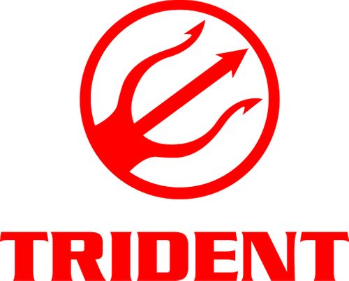 Trident Fire Compliance