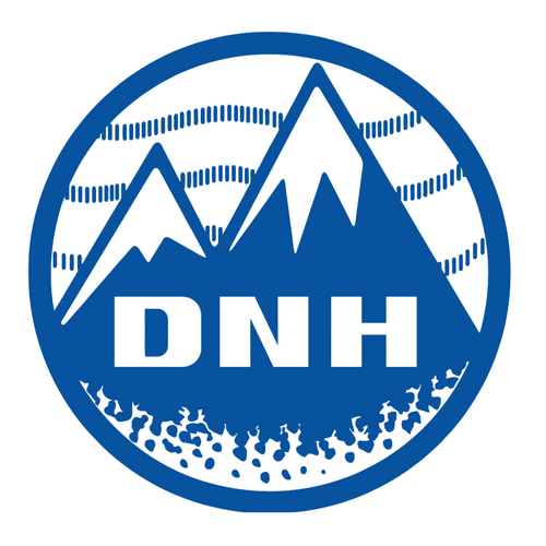 DNH WORLDWIDE LIMITED