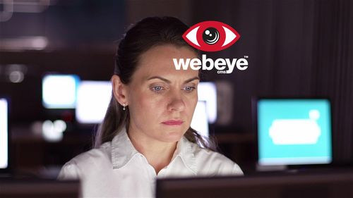 The Webeye concept