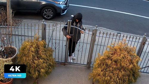 Porch Stolen Package (4K)