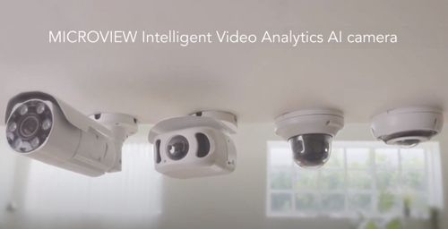 Intelligent Video Analytics Al Camera | Microview Security