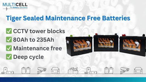 Sealed Maintenance Free Batteries (For CCTV towers)
