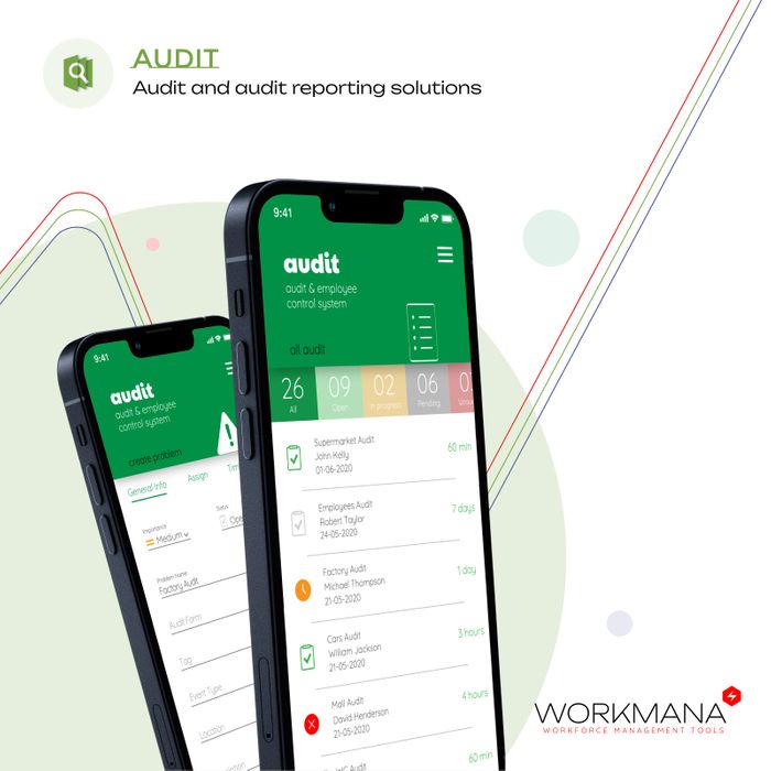 Audit