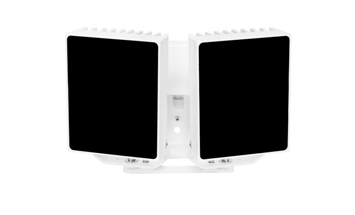 Dual M