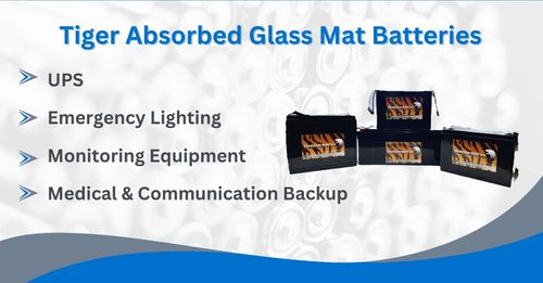 Absorbed Glass Mat Batteries 